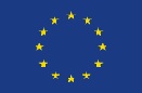 Euro Symbol